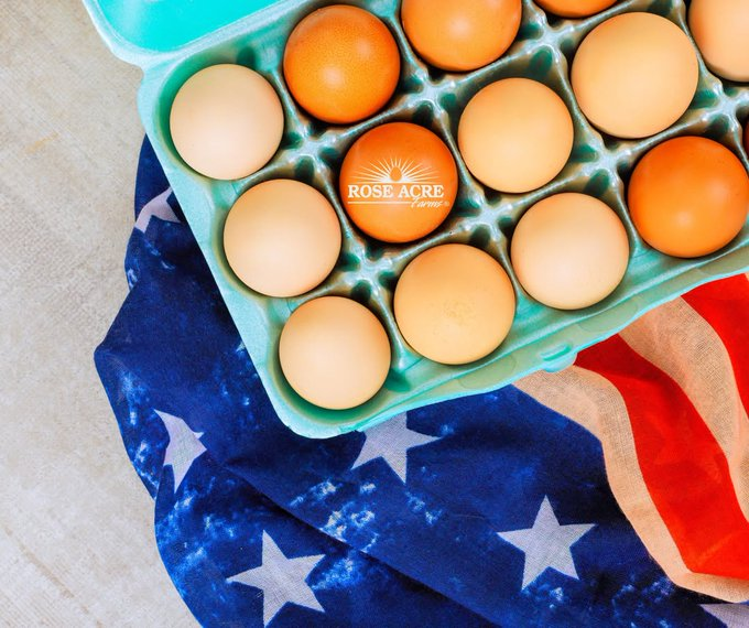 National Egg Day 2025